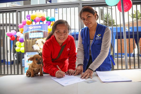 Gran iniciativa en Ventanilla para adoptar mascotas.