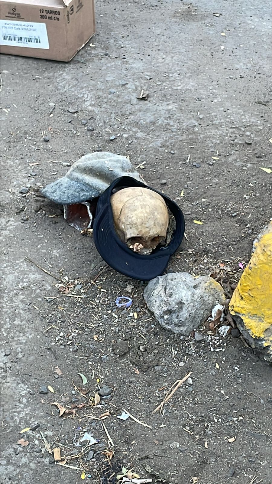 Hayan cráneo en una caja en exteriores del cementerio Baquijano.