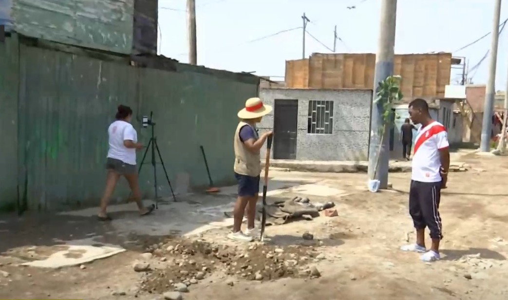 Joven da iniciativa de plantear un arbol cada día en el Callao.