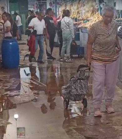 Mercado central empozado.