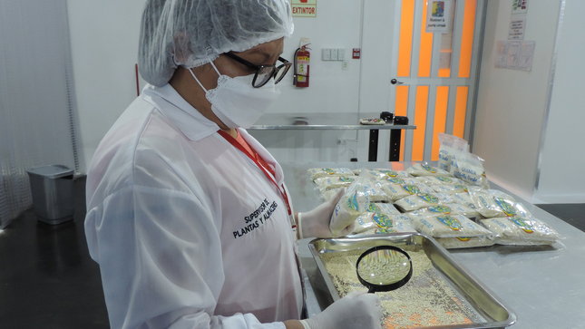Plantean que algas marinas incluyan en desayunos de Qali Warma.