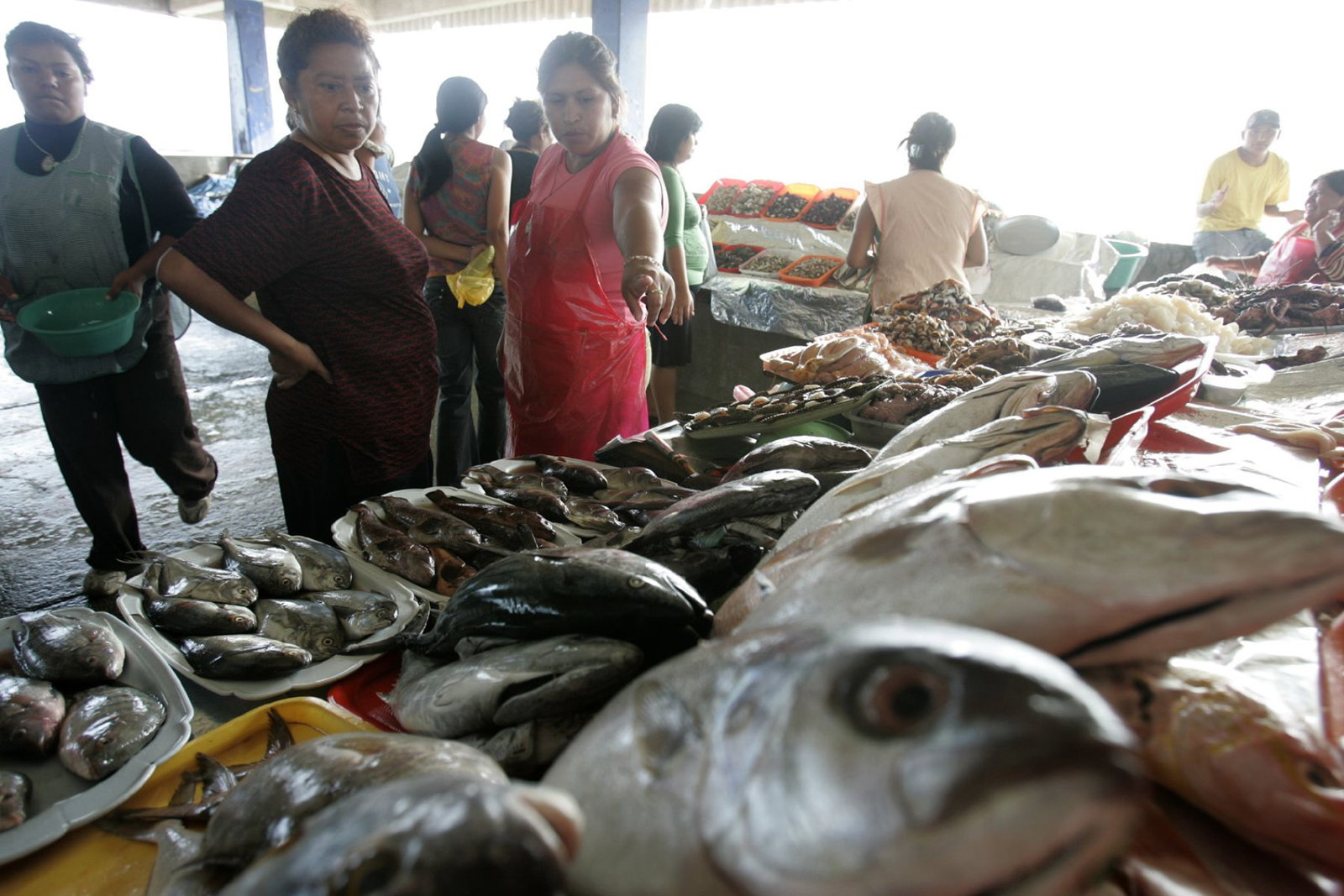 Vecinos del Callao denuncian fuerte olor a pescado.