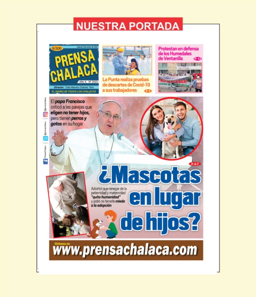 ¿Mascotas en lugar de hijos?