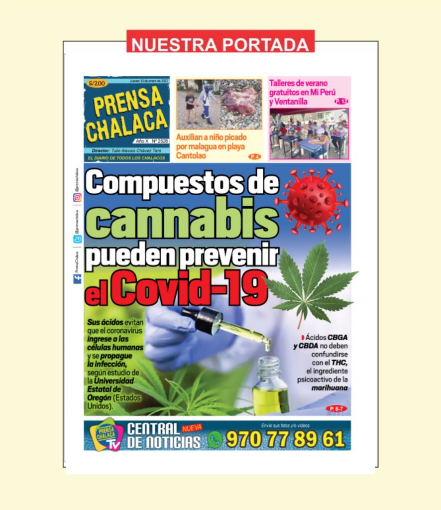 Compuestos de cannabis pueden prevenir el Covid