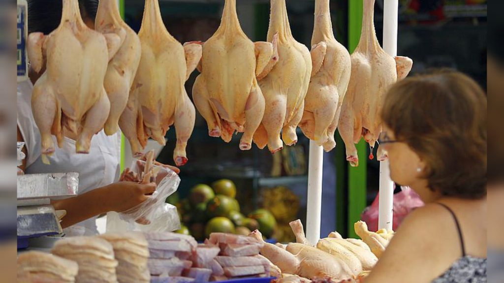 PRECIO DEL POLLO CONTINÚA EN BAJA