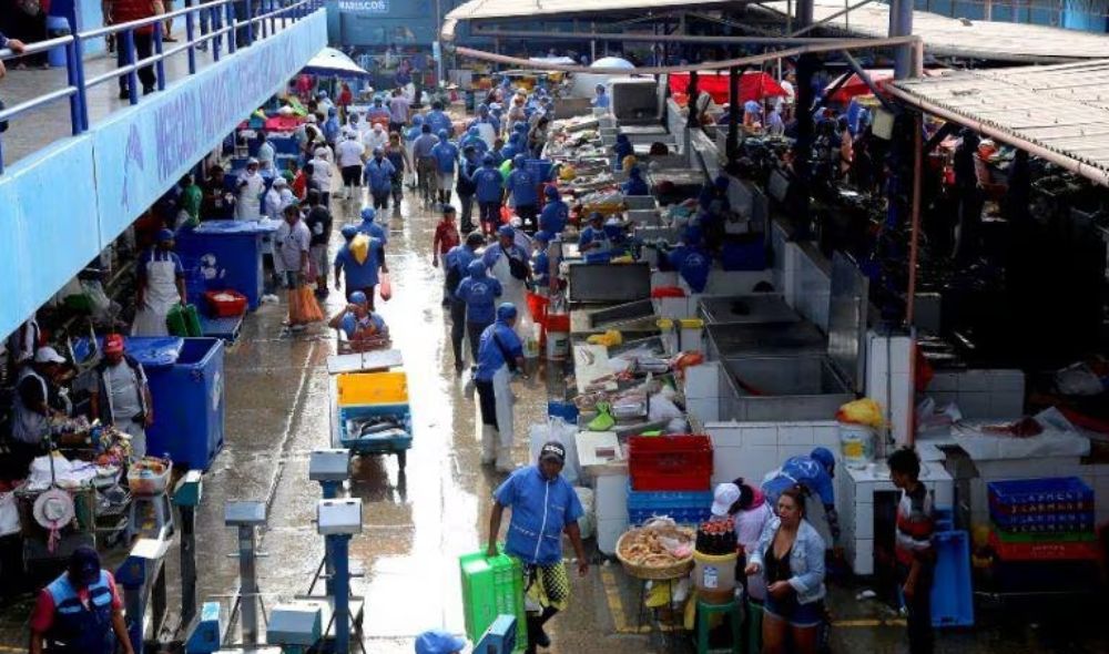 Callao en alerta: pesca artesanal cae por oleajes anómalos y el Fenómeno El Niño golpea la captura marina