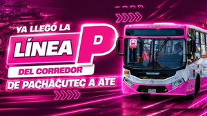 Corredor Rosado – Línea ‘P’ inicia marcha blanca con pasaje de S/ 1.50: conoce su ruta entre Ventanilla y Ate