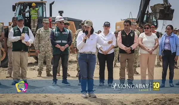 Pedido de facultades legislativas de presidenta Fujimori enciende alertas en sector ambiental de Perú