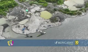 Parque Bahuaja Sonene: zona de amortiguamiento bajo el asedio de la minería ilegal