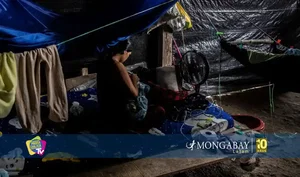 Mercurio en la sangre: la huella tóxica en niños y gestantes de Madre de Dios