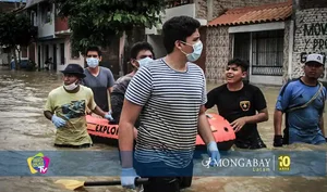 El Niño: ninguno de los 18 sistemas de alertas tempranas previstos desde 2017 se encuentra operativo